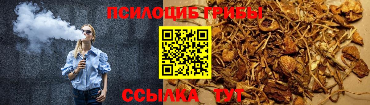 Галлюциногенные грибы Psilocybine cubensis Белорецк