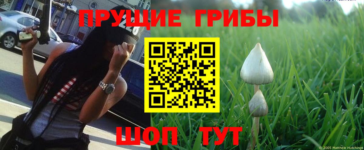 купить закладку  Псилоцибиновые грибы ЛСД  Вход с VPN  Белорецк 